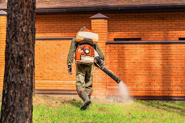 Bed Bug Clearance Verification and Documentation in Spring